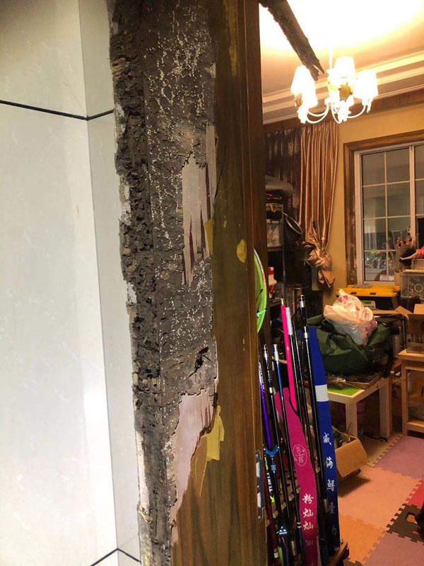 滅白蟻現場(圖5)